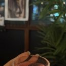 501스트릿 네이버블로그