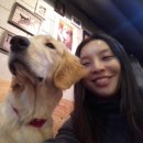 DOGZONE 네이버블로그