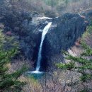 금란초교 이미지