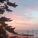 동현수산 - 무안군 창포로 33-10 | 동현수산