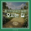 일럼