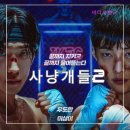 강철복싱 | 사냥개들2 시즌2 정보 출연진 7부작 간략후기 리뷰