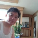 순수농장 이미지