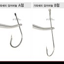 세미장어 이미지
