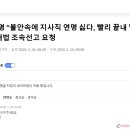 데이터주의) 다음뉴스 댓글 매크로 정황증거 feat.찢 이미지