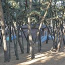 솔밭공원 농구장 이미지