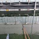 대평낚시터 이미지