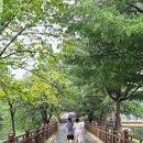 용추관광안내소 | 제천 가볼만한곳 역사와 여유가 공존하는 제천 의림지 용추폭포 후기