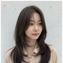 본레이크 이미지