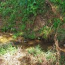 양평한울공인중개사사무소 이미지