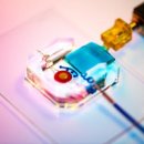 환경과 에너지 과학실험 이미지