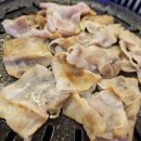 고기흐름 이미지