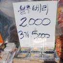 청춘청과 이미지