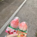 러비도기 이미지