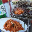 돼지새마을운동 이미지