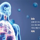 산소로 이미지
