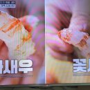 전현무계획2 속초 아지트식당 독도새우 이미지