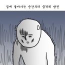 설레인 이미지