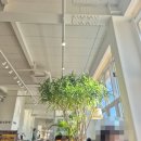 필무드(fillmood) | 파주 대형카페 필무드 가볼만한곳 애견동반 FILLMOOD 마장호수 출렁다리 근처