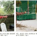 온깍지가 주도하는 국궁신문의 고자채기 궁체 논란에 대하여 이미지