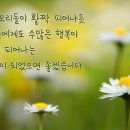 시랑 이미지
