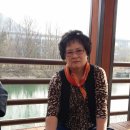 삼례동초등학교 이미지