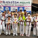 용인대 한신 태권도 이미지