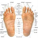 신설동사람들 이미지