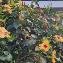 빛고을어린이집 이미지