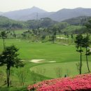 골프존카운티 드래곤 이미지