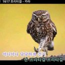 프리티걸 - 익산시 | 프리티걸
