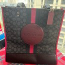 Coach,Bally 가방 팝니다 이미지