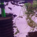 ALL바른공인중개사사무소 이미지