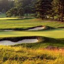 (주)서린골프 문화일보