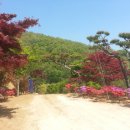 하늘농장 이미지