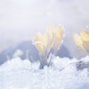 예쁜날 - 원주시 중앙로 119 | 예쁜날