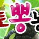 황토뽕 농장 이미지