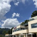 봉쥬르 | [경기 남양주] 강아지 동반 가능! 경치 좋은 대형 애견동반카페 봉쥬르 후기🐶🌿