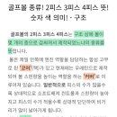 골프볼(퍼온글) 이미지