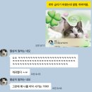 달고양이 | 바램펫 밀리 고양이 자동급식기 한 달 사용 솔직 후기 | 장단점, 앱 연동, 조립 방법