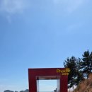 낭도 | 🌊여수 낭도 다녀온 후기… 여긴 진짜 숨겨야 한다