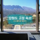 강원도 고성 숙소 울산바위 뷰 소노펠리체 델피노 실버스위트