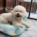 유니독스 이미지