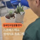 인천장애인종합복지관체육관 | 장애인복지관 출강전문 / 힐링 원예 프로그램 / 발달...수업 전문기관 / 원예치료 / 서울 경기 인천 복지관