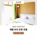 포항KTX호텔 | 포항 애플 트리 호텔 숙박후기 및 예약정보