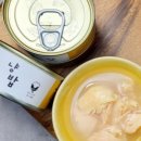 헬로가토스 이미지