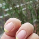 씬네일 - 부평구 체육관로 27 | 씬네일