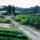 군산시-00027 이미지