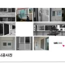 세이프죤 Daum카페