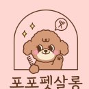 포포펫살롱 | 겨울맞이 물개컷 미용(feat.포포펫살롱)